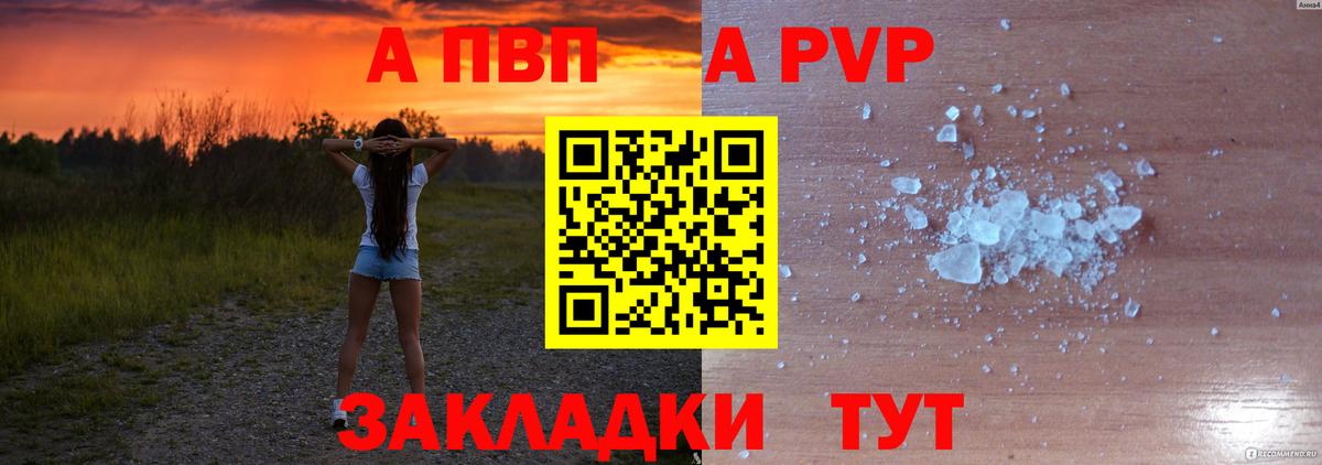 Альфа ПВП СК КРИС Кандалакша