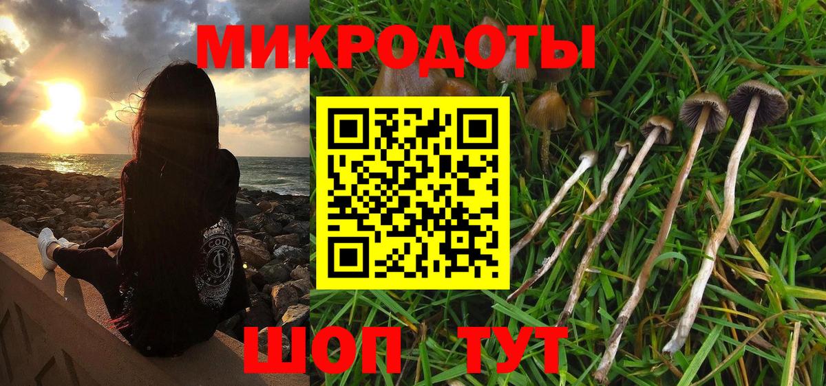Галлюциногенные грибы мицелий Кандалакша